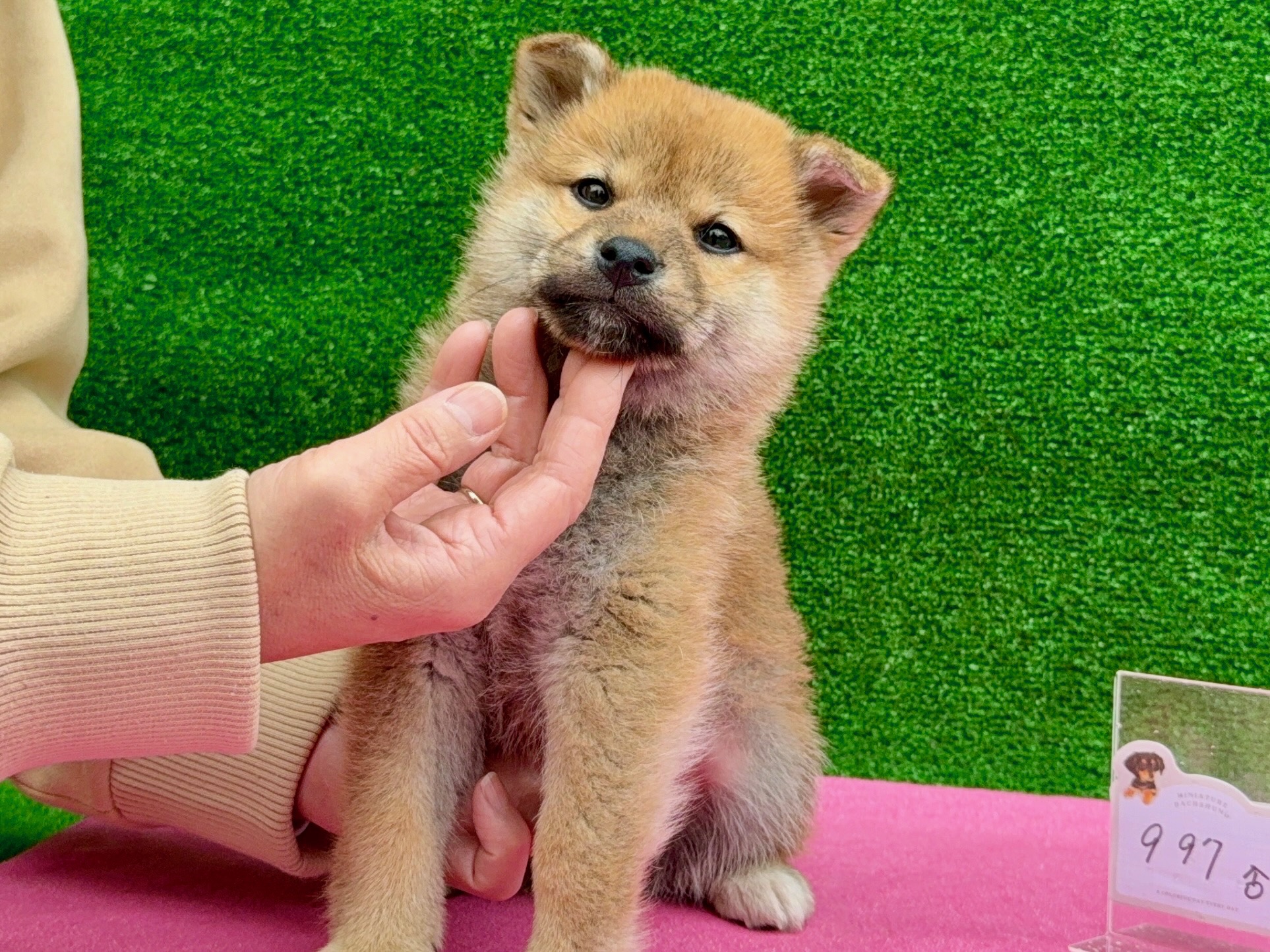 0197b2c0d854cf25f0c086d20e8e70d6c166d77900