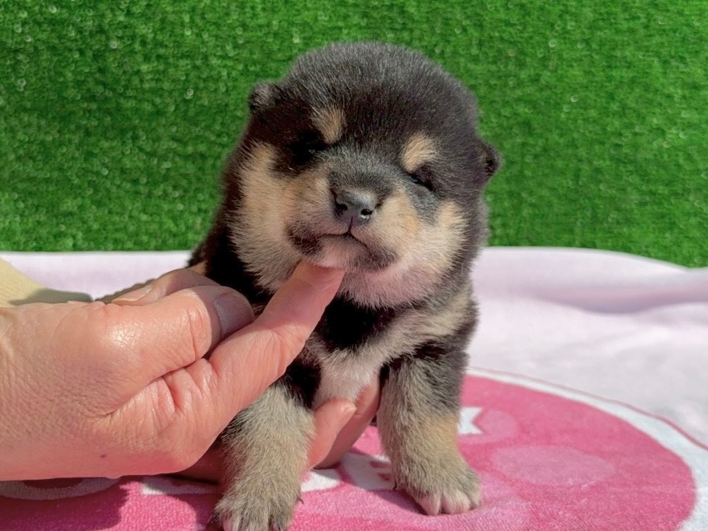 01b39ea048be8478c6237555d81e8083a0be60db38