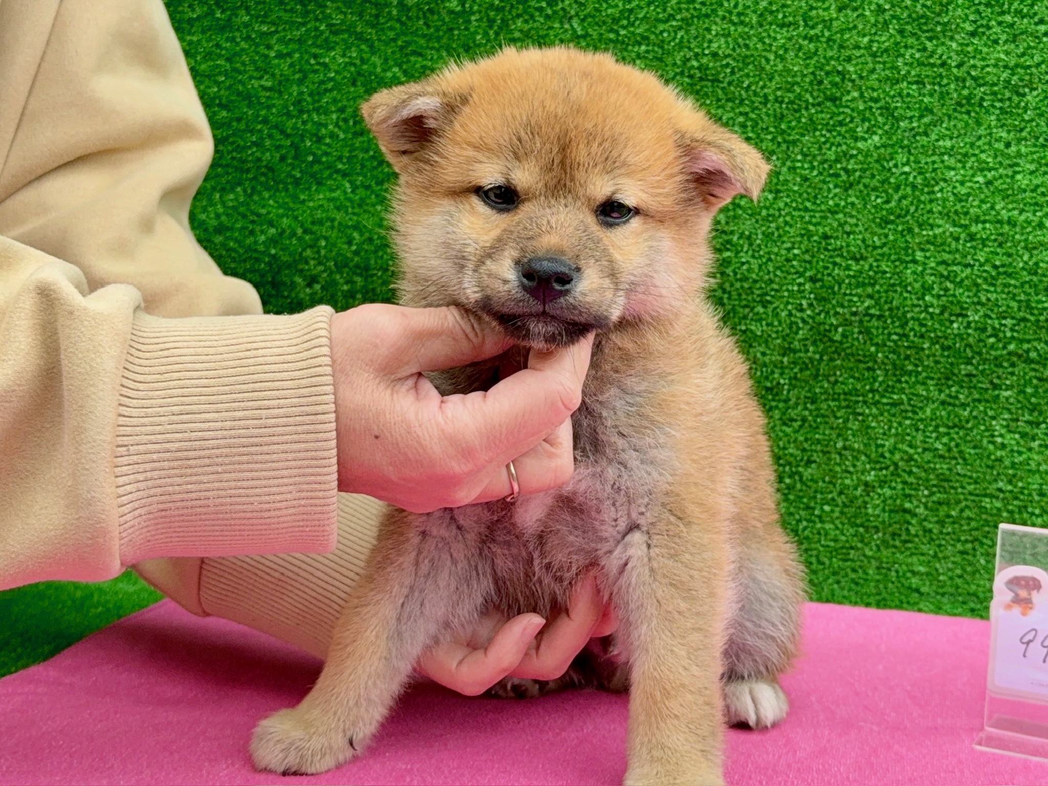 01c0229d58bdc0fa8daeee65434142591b3386136e