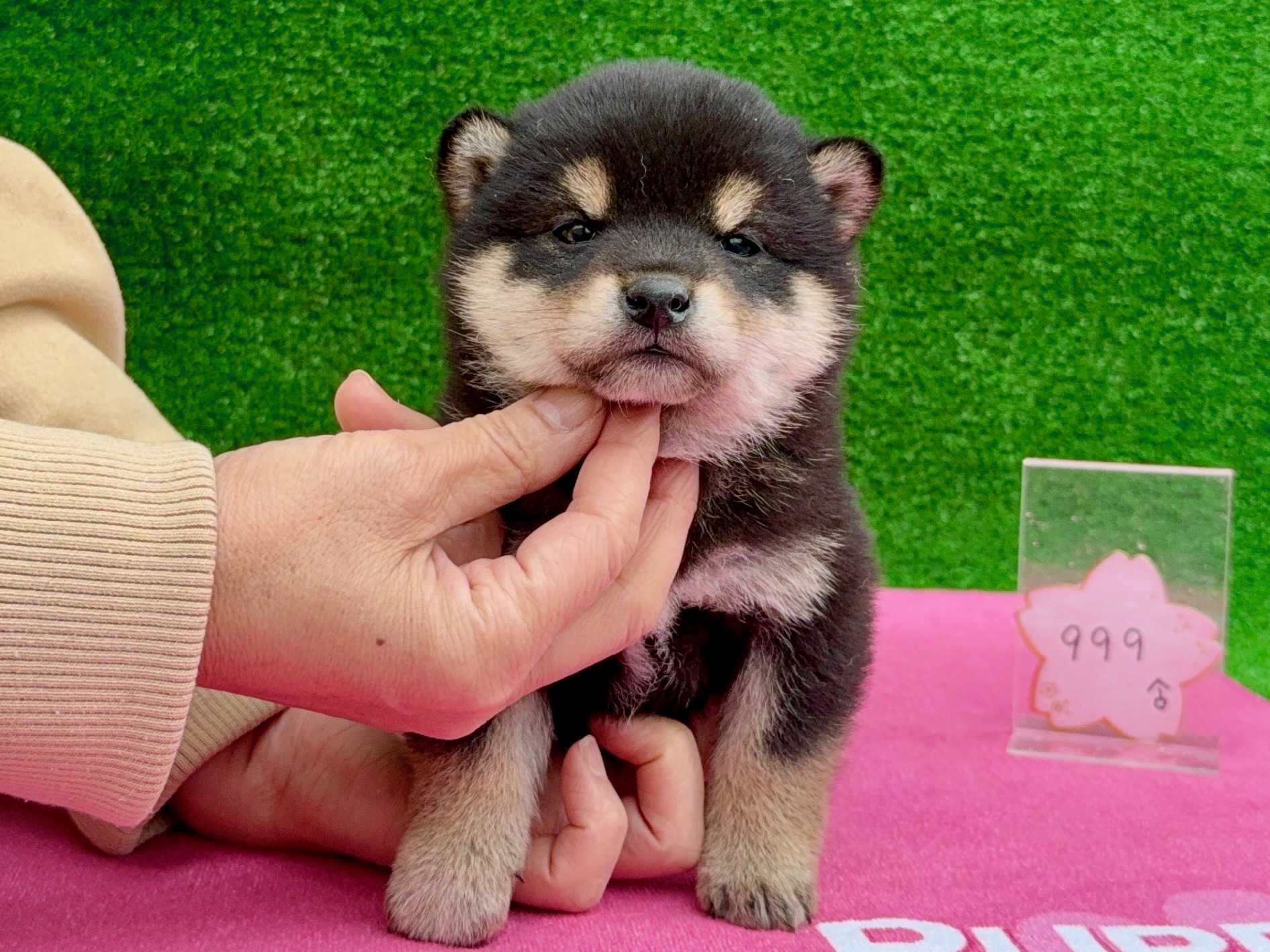 01c1b47cb78d1219dcb60164e686201911465022ff