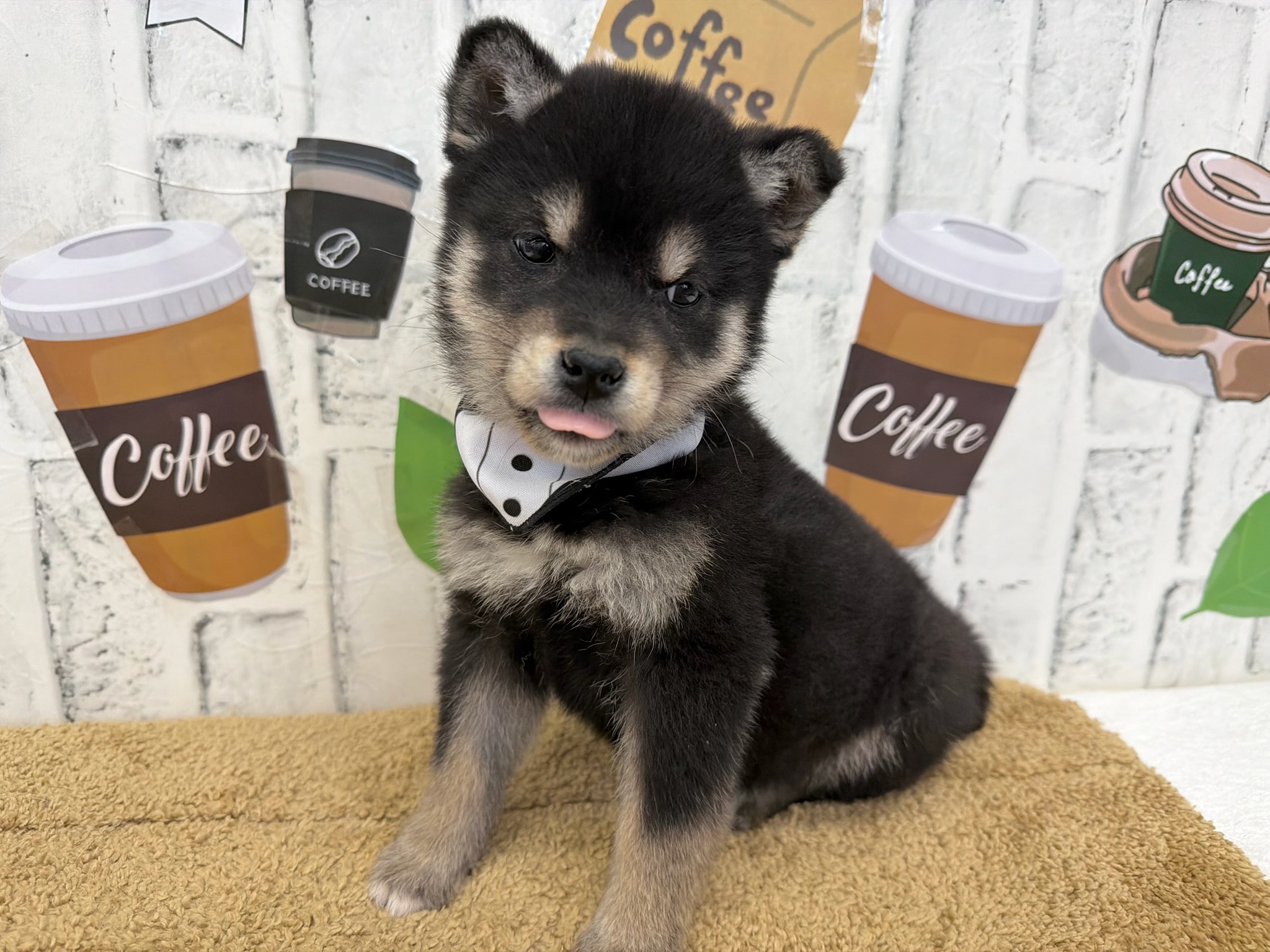 01e1aba343c7c0f94a77a06c0b6308644804251717