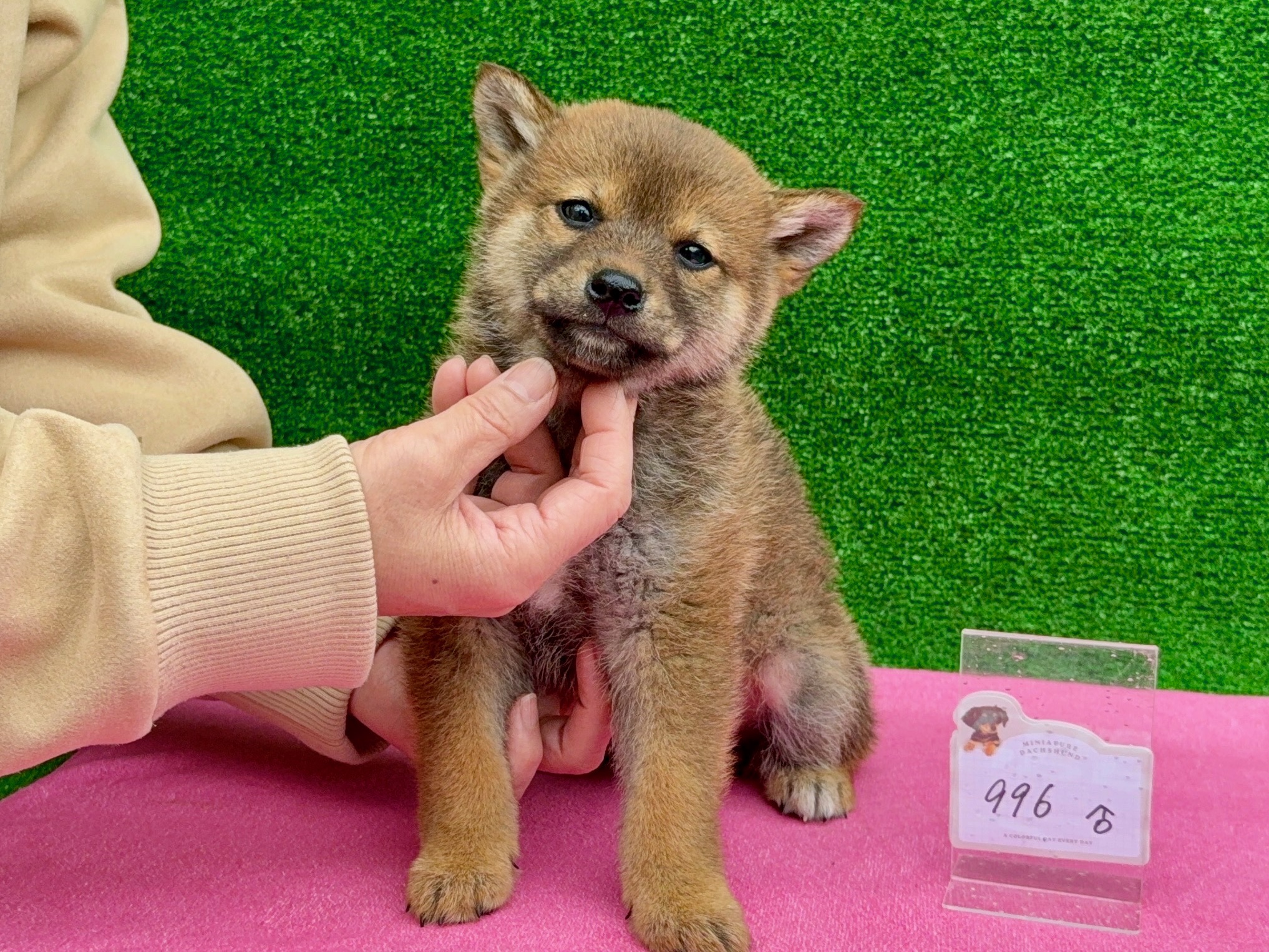 01f6bf235bf8fdde5db467bba93ef606102f633352