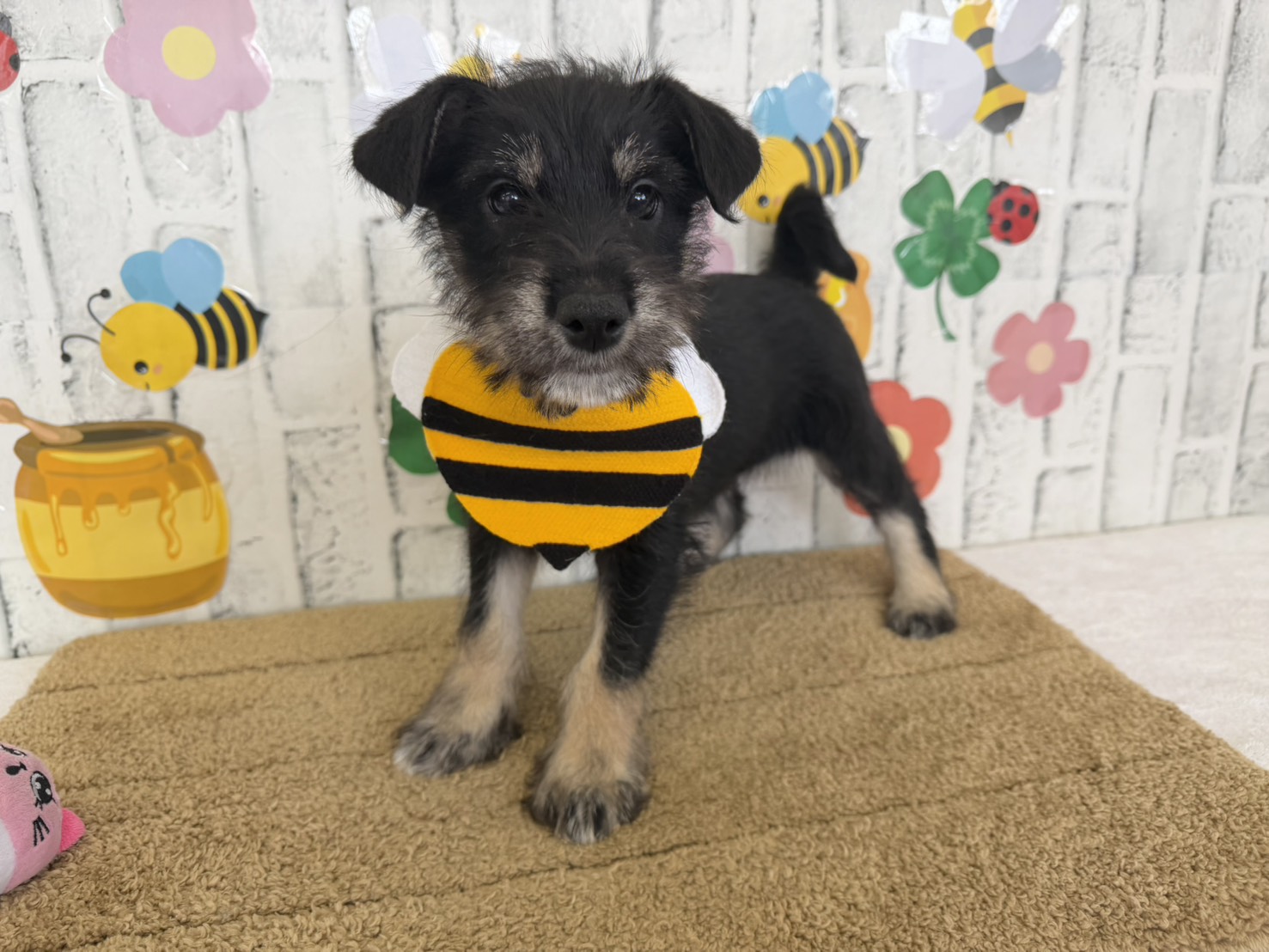 9b6Z_zSH6UXAknevwTUL1LY23oxGqa_5Qf3rLyjVdaw10JRn8t6bpdE8sZ2Vr8sadk0cu2LEHObGZspbuSY9lvriY6JTNk3alOKbkadZIr0qGMaRANjxnHDAvDUUumdUr6fRbKROf4YksHppMo5QDQ==