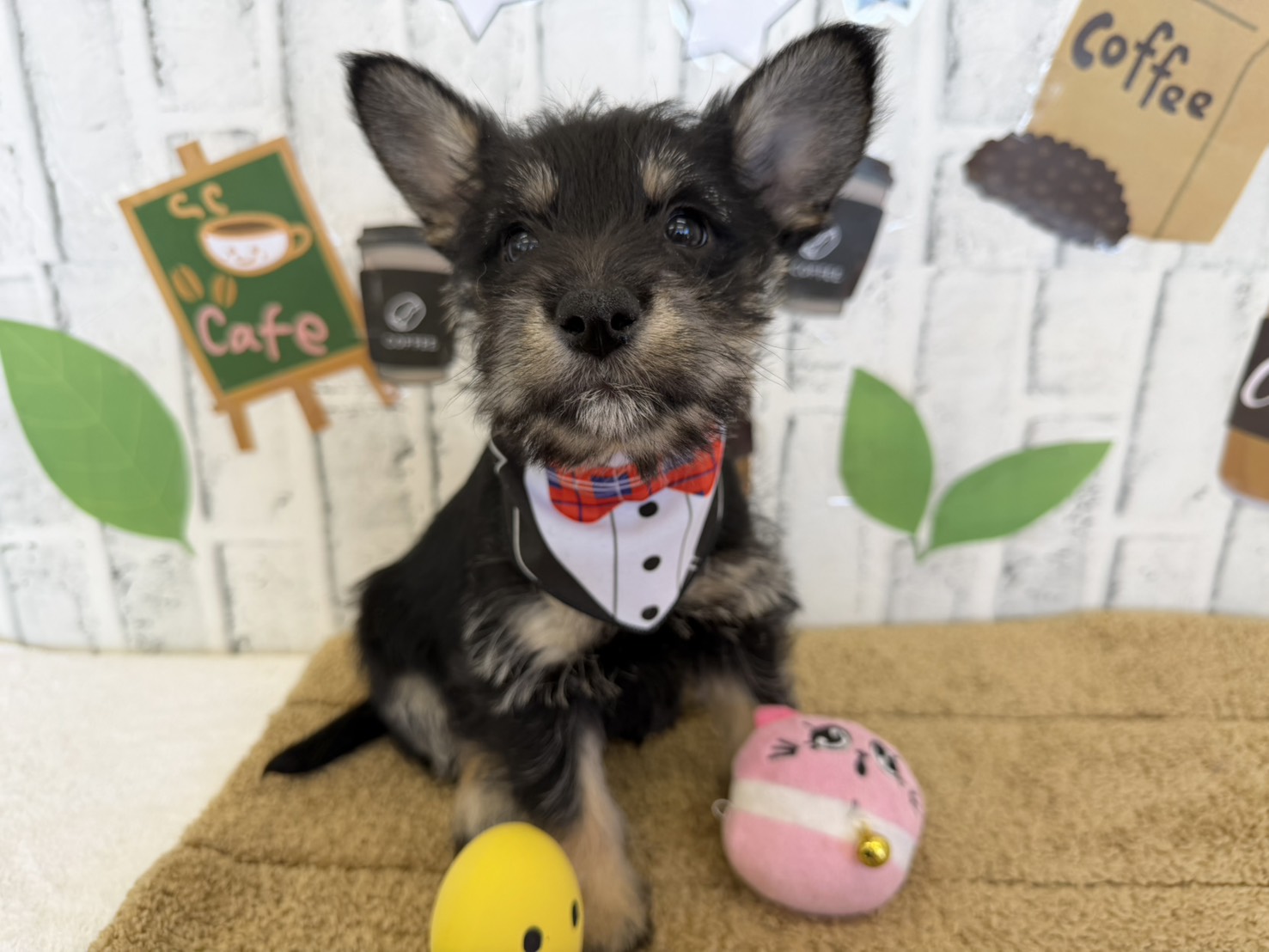 G6Aor12XhxWM9X_mE7c-evKpXpKEvethlI5kTWcJwCK2kZrumUFUPd3uqYy1VkESq2DJeH6aKVf7mEhUK7yPwWjooYe9tcvSYZ2ihnXNweJtVOPIL_crFS8hbsvDhynWkCPUNF5rJUTpUxwFl42Qjw==