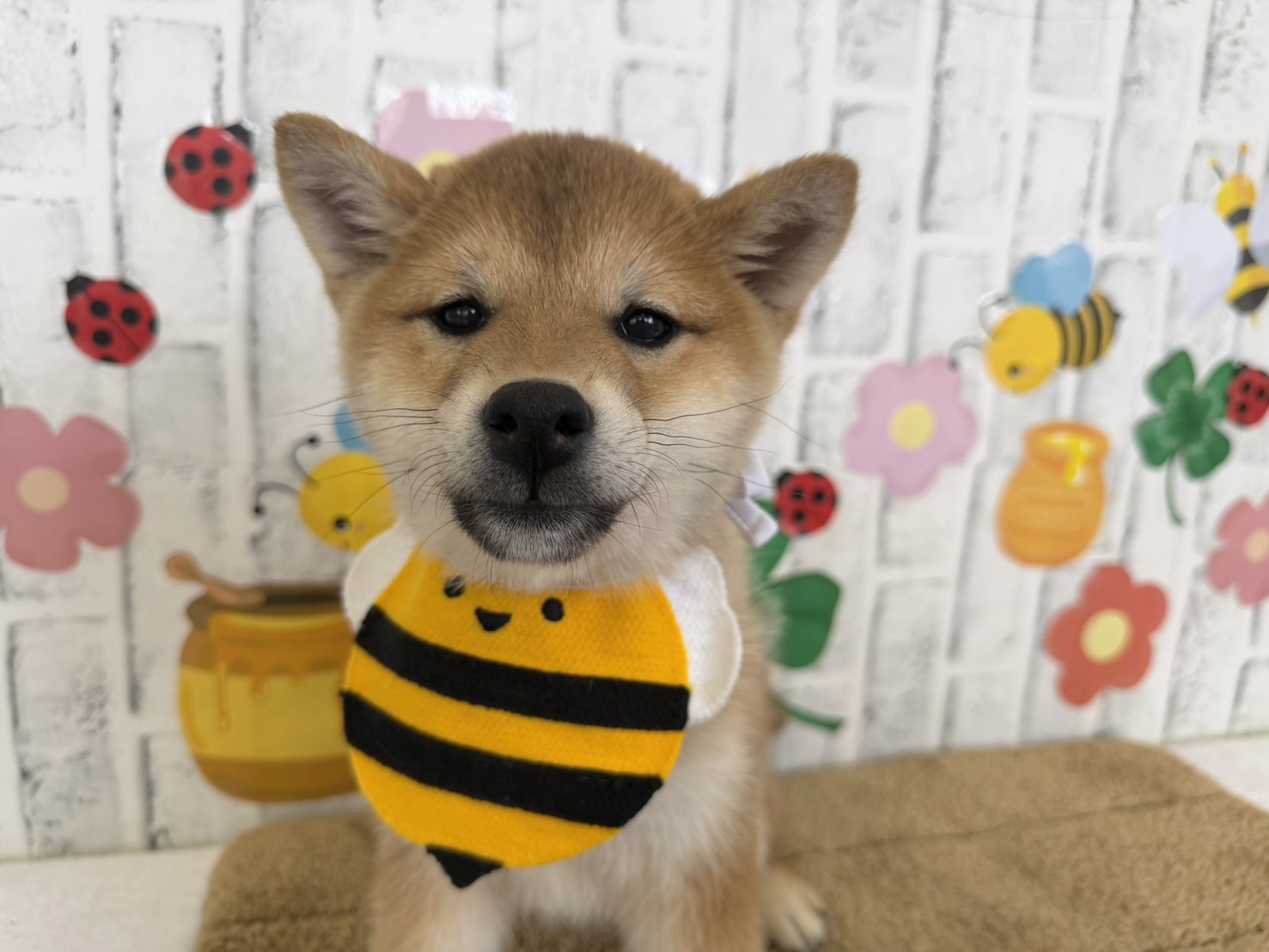 k3Oq84kHAUFaXmkGFJ0u5xXbqx2t5ZskF1Qnr5zWx_AvySupQ1cOou1_5rpC_YI_UpyzyoKwmcKqd_q6VzUh0lDmXTQCftfA5-6LcR_v3ykQE2ZKr5RtbqOmMqle8N39kpngZXezwyv0UN-p8nCI8Q==