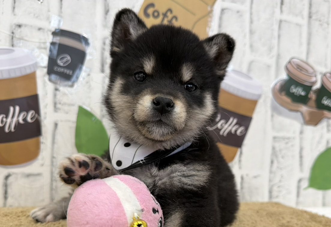 line_oa_chat_260307_131015